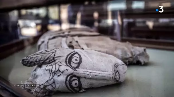 MEDITERRANEO – En Egypte, dans la nécropole de Saqqarah les archéologues découvrent des momies rares