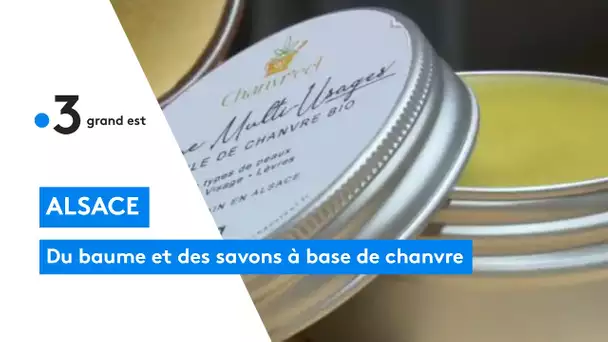 Agriculture : du chanvre à usage alimentaire et cosmétique