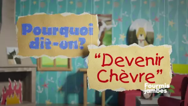 Pourquoi dit-on : "devenir chèvre"