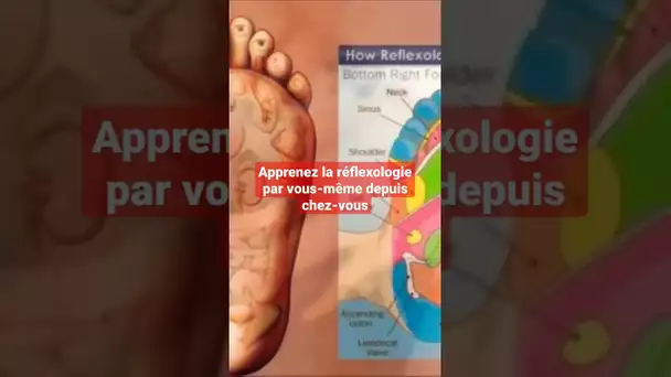 Apprenez la réflexologie par vous-même depuis chez-vous - formation réflexologie