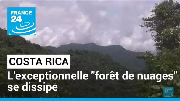 Costa rica : l'exceptionnelle "forêt de nuages" se dissipe • FRANCE 24