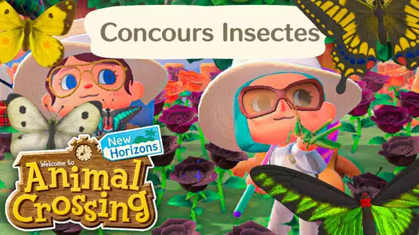 Concours d'Insectes ! Avec les viewers ! | Animal Crossing : New Horizons