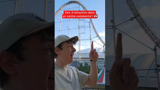 Un parc d'attraction dans un centre commercial 🎢