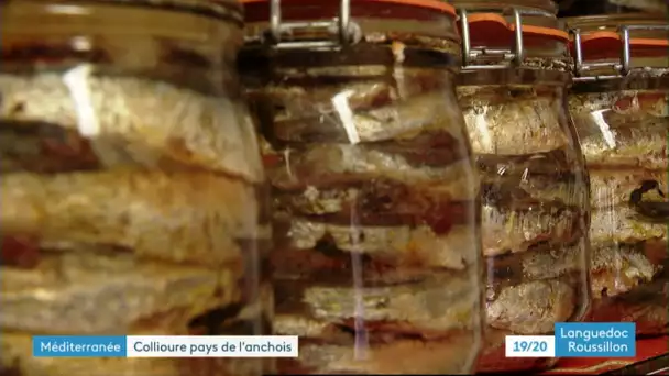 A Sète et Collioure, l'anchois fait toujours recette