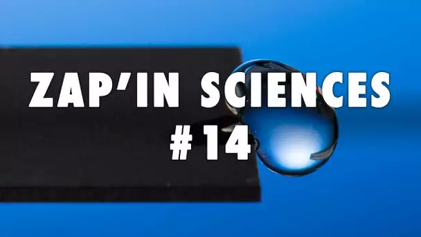 Zap'In Sciences #14 - L'Esprit Sorcier