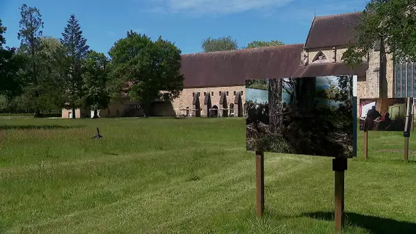 Sarthe : à l'Abbaye de l'Epau la photographie prend l'air !