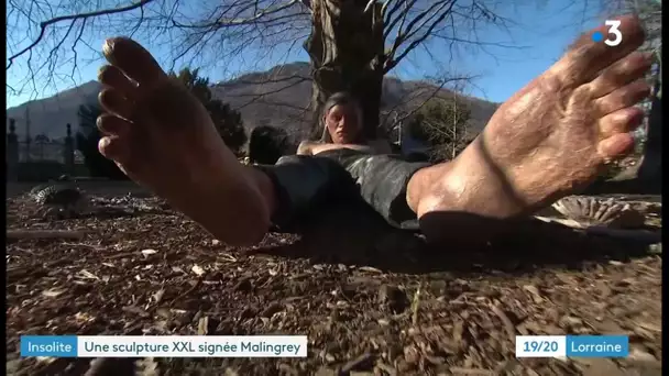 Le géant de François Malingrëy (2é partie)