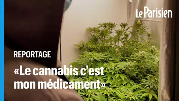 Ils se soignent avec du cannabis, quitte à risquer la prison