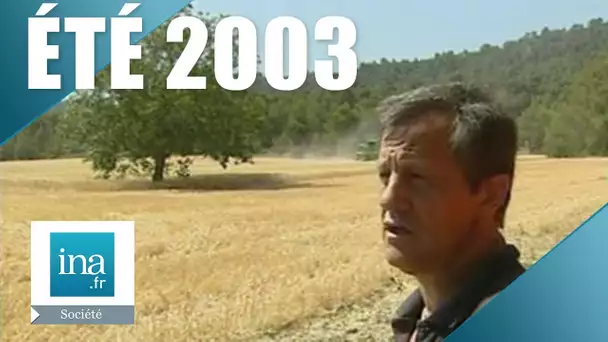 Été 2003 : Les risques de la canicule en France | Archive INA