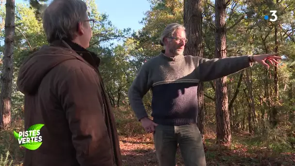 Pistes vertes : la "Dinguerie", une forêt comestible en Suisse normande.