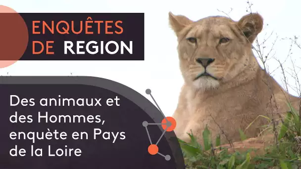 Enquêtes de région : des animaux et des hommes ou le bien-être animal