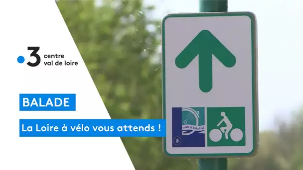 Beaugency : la Loire à vélo, ça roule a nouveau sur les bords de Loire !