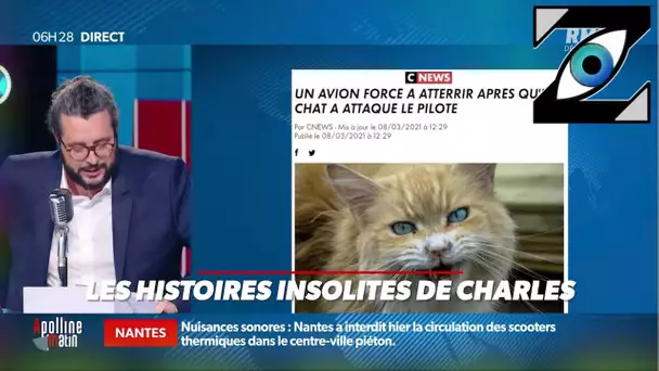 [Zap Actu] François Hollande et Samuel Etienne sur Twitch, Attaque de chat sur un pilote (10/03/21)