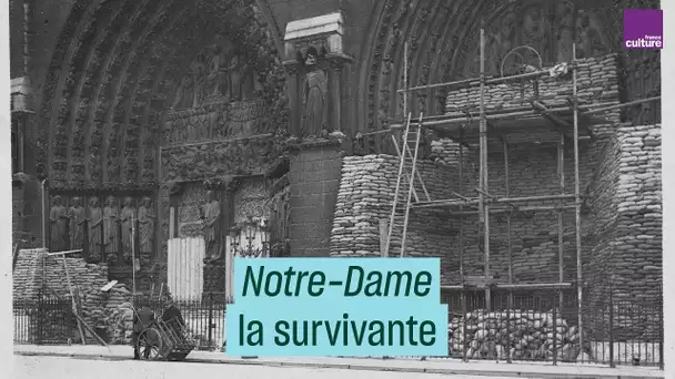 Notre-Dame de Paris : histoire d&#039;une survivante - #CulturePrime