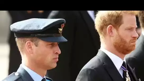 "Absolument aucun signe", les frères Harry et William, qui se querellent, concluront une trêve et se