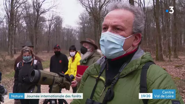 Nature : balade à Vierzon pour Journée internationale des forêts