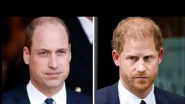 Le « texte de dernière minute à Harry » du prince William a mis fin à la guerre totale au sein de la