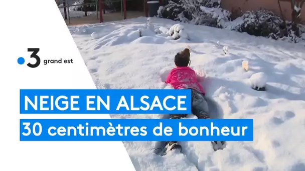 Neige en Alsace : jusqu'à 30 centimètres de bonheur