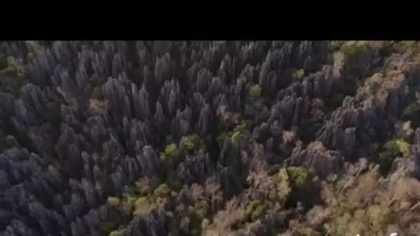 Madagascar : les Tsingy de Bemahara