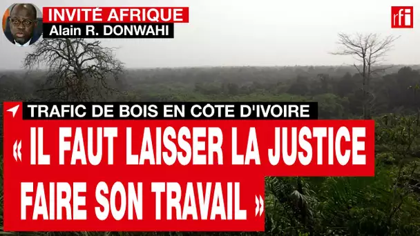 Trafic de bois en Côte d’Ivoire : « Il faut laisser la justice faire son travail » • RFI