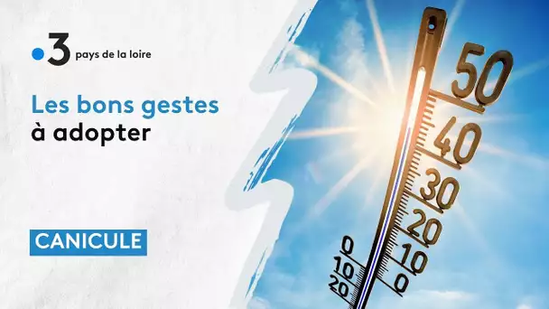 Canicule : les bons gestes à adopter sur les plages