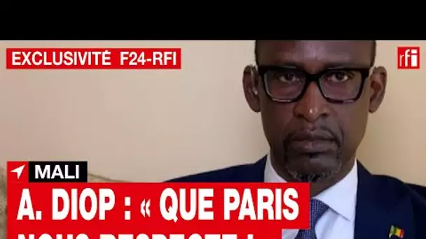 Mali : "Que Paris nous respecte !" - Abdoulaye Diop, ministre des Affaires étrangères - L'inté...