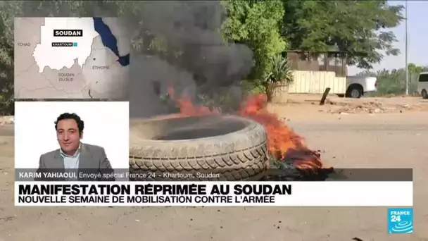 Soudan : "la détermination des manifestants reste intacte" malgré la répression du régime