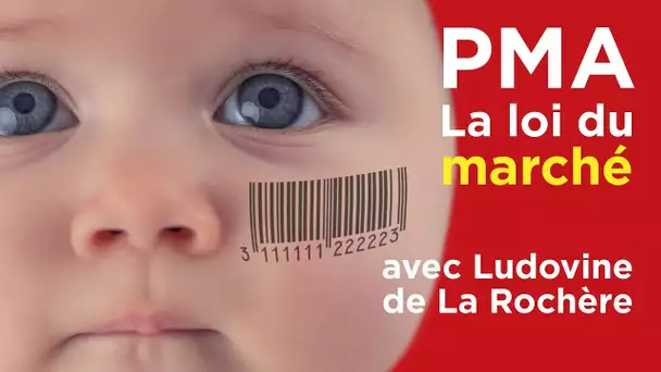 PMA : La loi du marché avec Ludovine de La Rochère (LMPT) - Le Samedi Politique