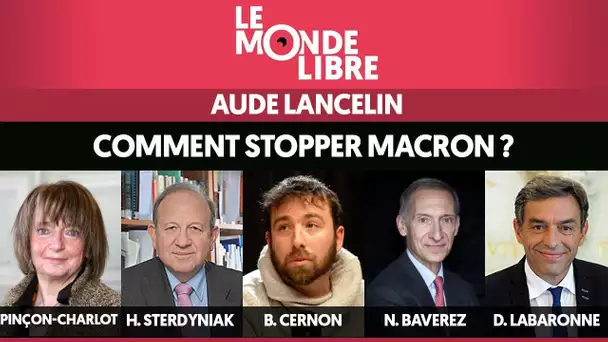 COMMENT STOPPER MACRON ? - LE MONDE LIBRE