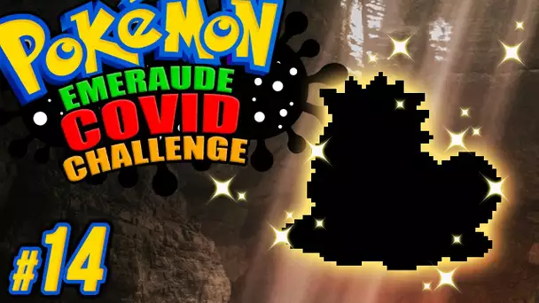 Un SHINY 😱✨ #14 - Pokémon EMERAUDE C🅾️VID CHALLENGE