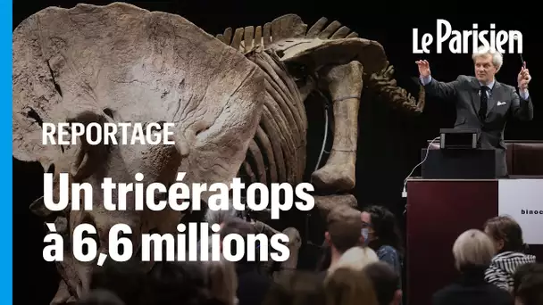 «Big John», le plus grand tricératops connu, adjugé 6,6 millions d’euros à Paris