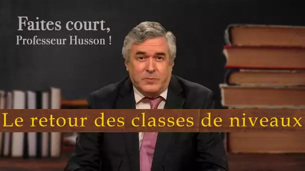 Le retour des classes de niveaux, bonne ou mauvaise nouvelle ? - Faites court pr. Husson - TVL