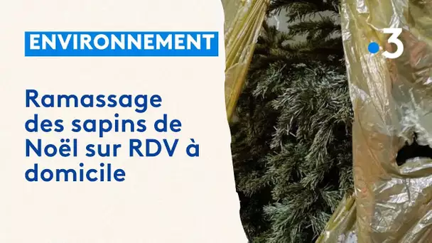 Ramassage à domicile du sapin de noël à Mandelieu-la-Napoule