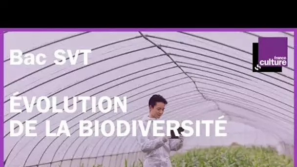 BAC SVT révisions - Évolution de la biodiversité