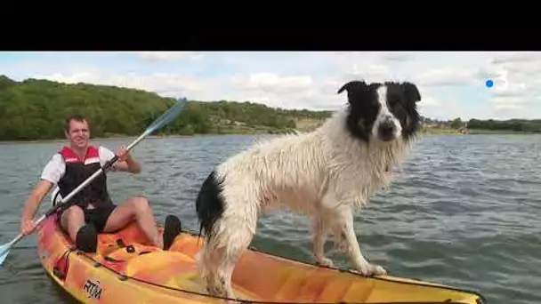 Le boom des sports nautiques depuis le Covid-19