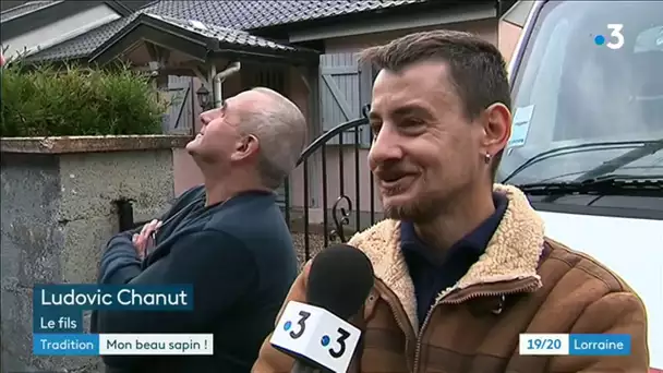 Un sapin de Noël de 15m à Épinal
