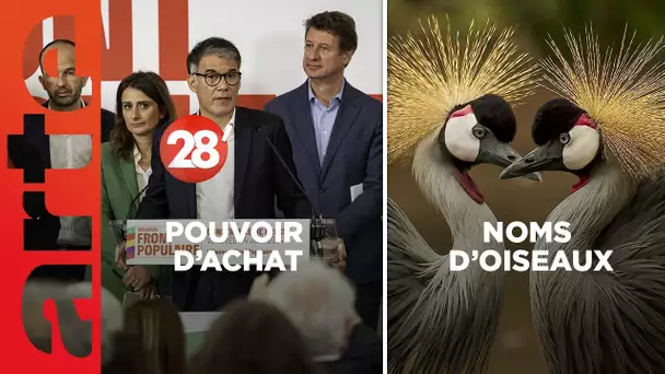 Noms d'oiseaux / Pouvoir d'achat : la surenchère des promesses ?  - 28 Minutes - ARTE