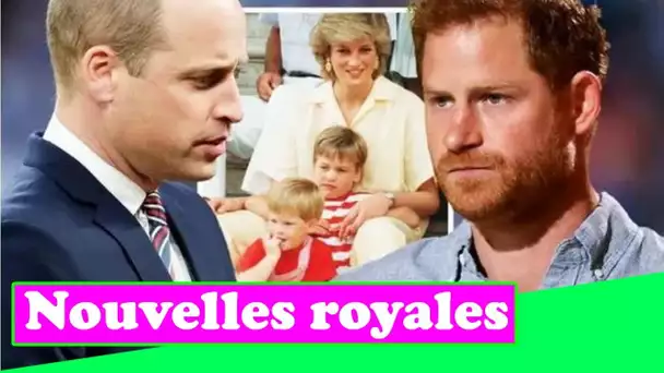Le prince Harry et le prince William reçoivent des excuses rampantes de la BBC pour l'interview de D