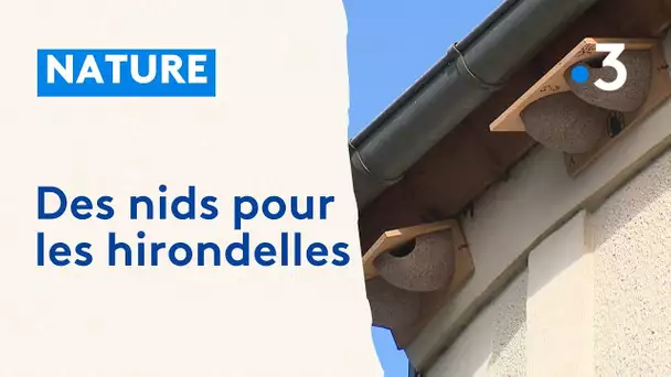 Des nids pour les hirondelles.