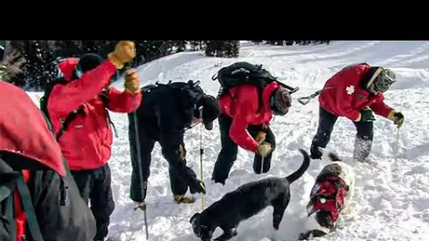 Chiens et secouristes unis : Les secouristes de l'extrême