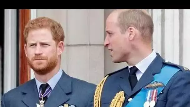 William et Harry soutiennent les œuvres caritatives des forces armées en raison du manque de soutien