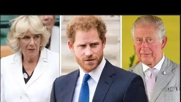 Harry compare sa première rencontre avec Camilla à une injection et "supplie" Charles de ne pas l'ép