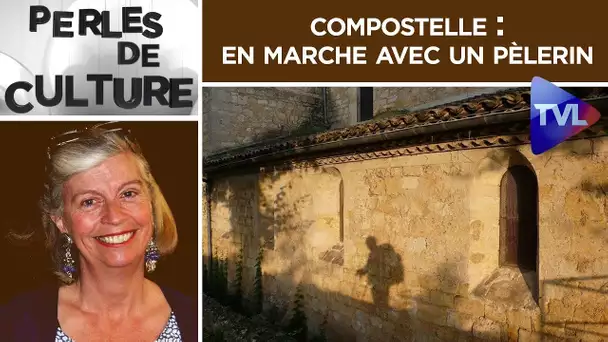 Compostelle : en marche avec un pèlerin - Perles de Culture n°230 - TVL