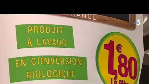 Pour vendre de bons légumes, un gérant de supermarché devient agriculteur à Lavaur dans le Tarn