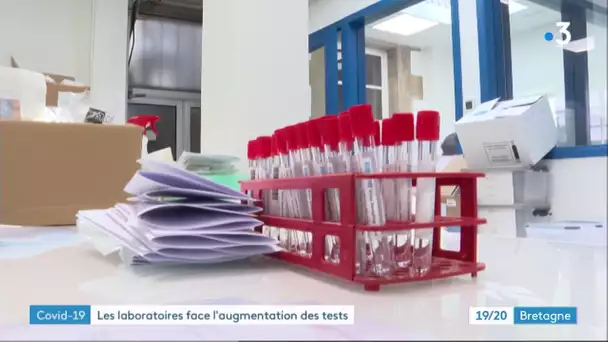 Dépistage du coronavirus : comment s'organise les laboratoires ?