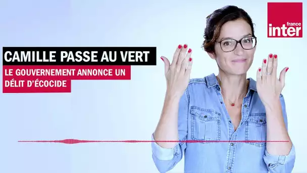 Le gouvernement annonce un délit d'écocide - Camille passe au vert