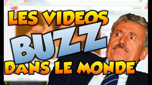 LES VIDEOS BUZZ DANS LE MONDE #2