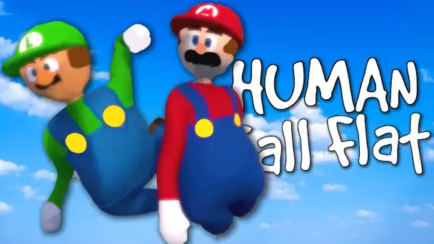 MARIO ET LUIGI DANS HUMAN FALL FLAT !