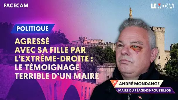 VIOLENTE AGRESSION D'UN MAIRE PAR L'EXTRÊME DROITE, LE PUISSANT TÉMOIGNAGE DE L'ÉLU