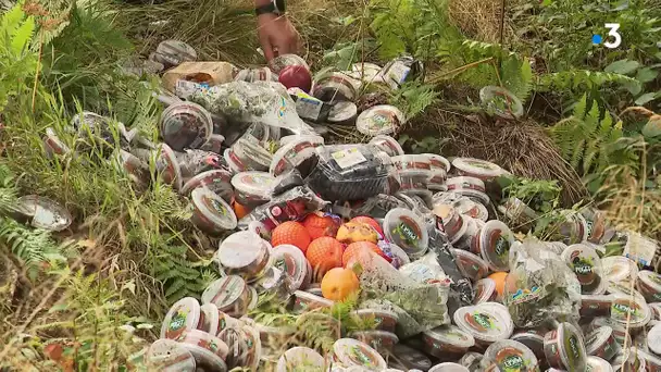 Dépôts d'aliments invendus dans des forêts du Nord : l'auteur identifié et entendu par la police